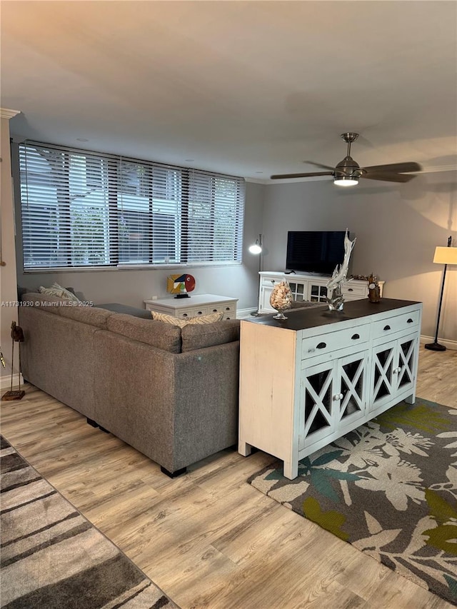 living room with ceiling fan and light hardwood / wood-style flooring