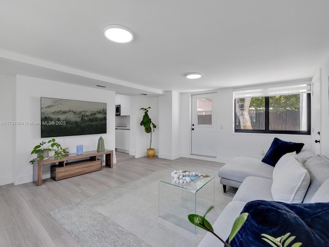 living room featuring light hardwood / wood-style flooring