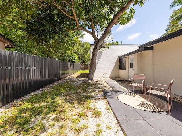 view of yard featuring a patio