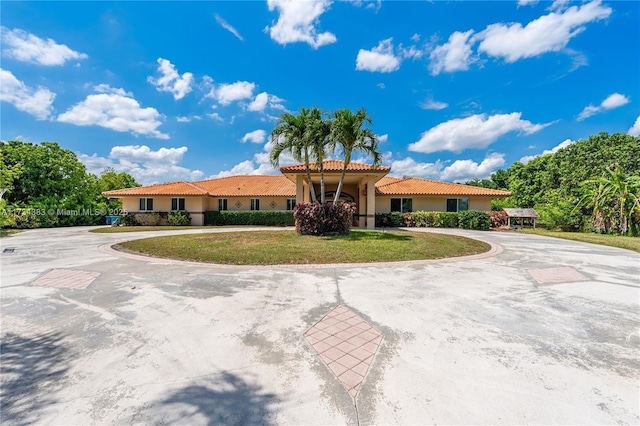 view of front of home with a tiled roof, a front lawn, curved driveway, and stucco siding