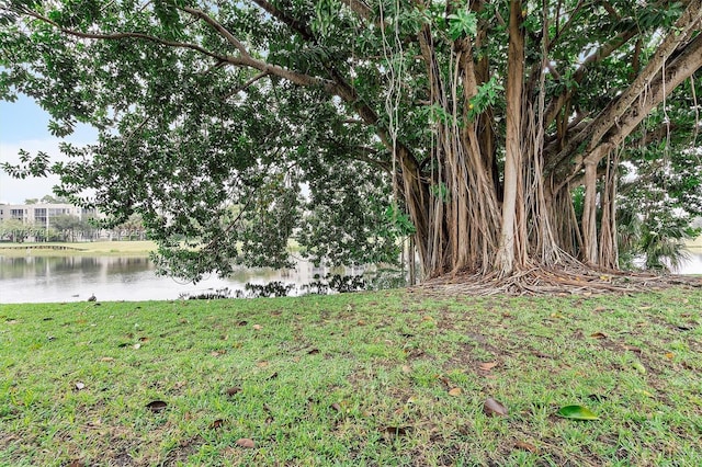 view of yard featuring a water view