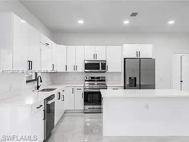 kitchen with white cabinetry, stainless steel appliances, and sink