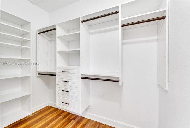 walk in closet with light wood-type flooring