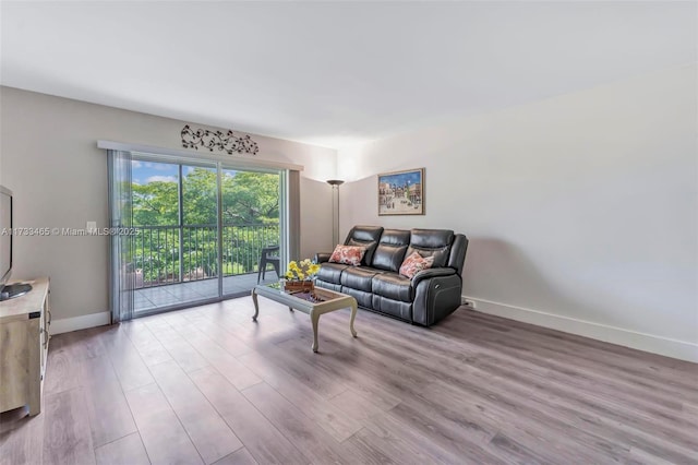 living room with light hardwood / wood-style flooring