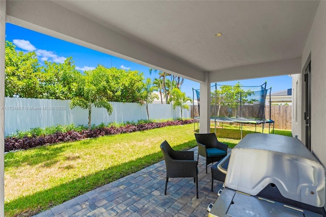 view of patio / terrace featuring a trampoline and grilling area