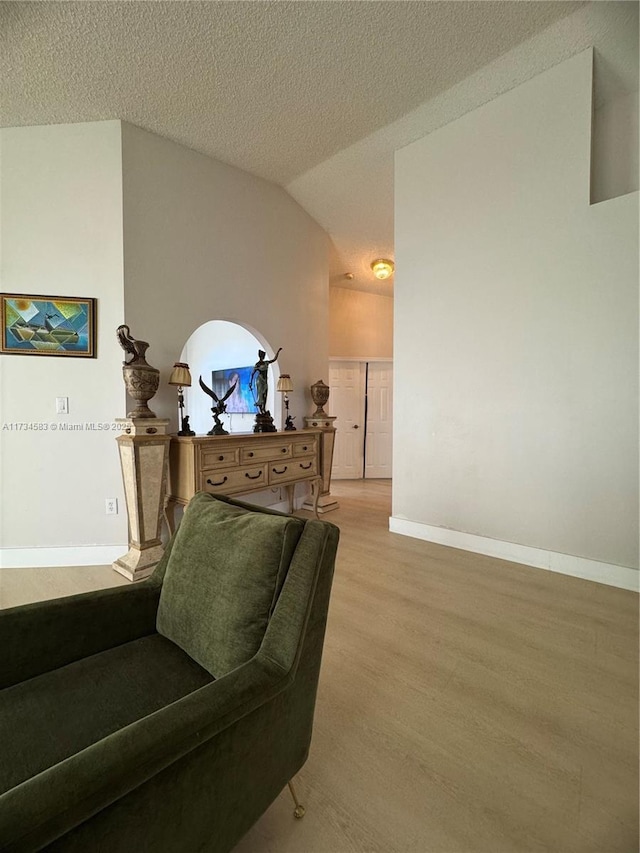 living area with light hardwood / wood-style floors, vaulted ceiling, and a textured ceiling