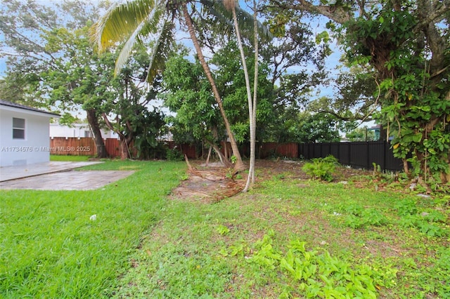 view of yard featuring a patio area