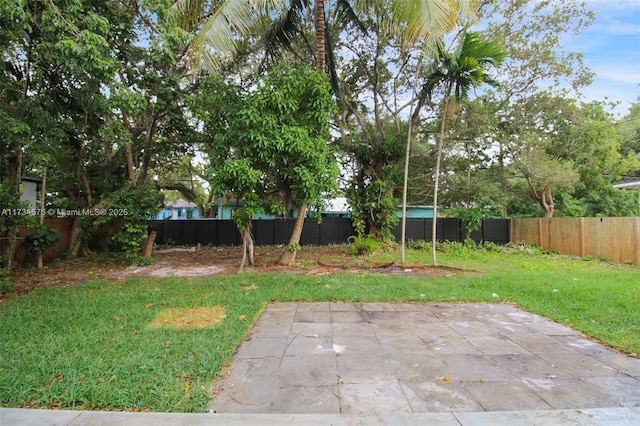 view of yard with a patio area