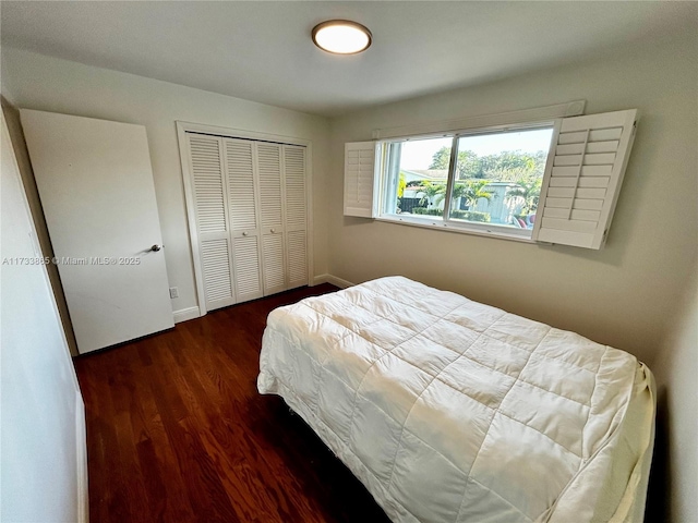 bedroom featuring dark wood-type flooring and a closet