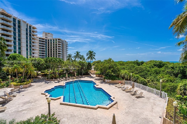 view of swimming pool with a patio