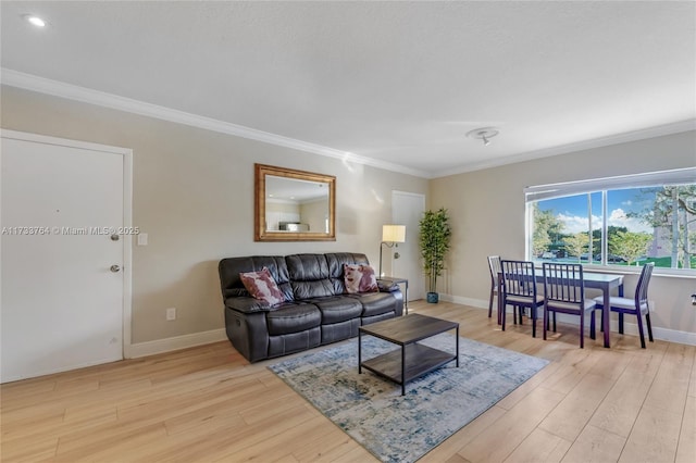 living room with crown molding and light hardwood / wood-style flooring