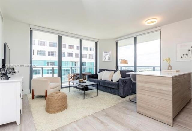 living room with expansive windows and light hardwood / wood-style floors