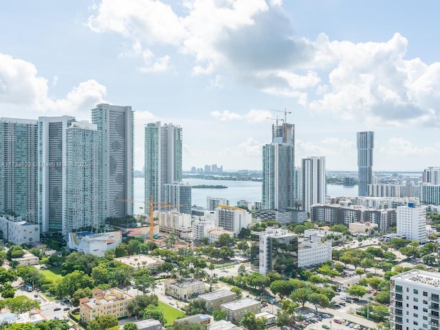 property's view of city featuring a water view