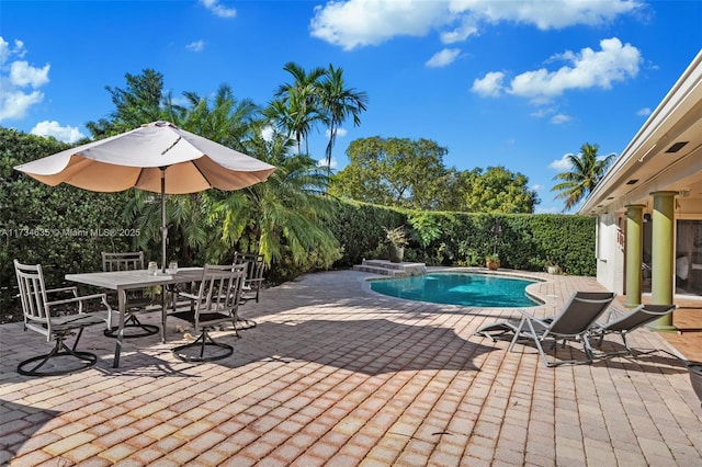 view of pool featuring a patio