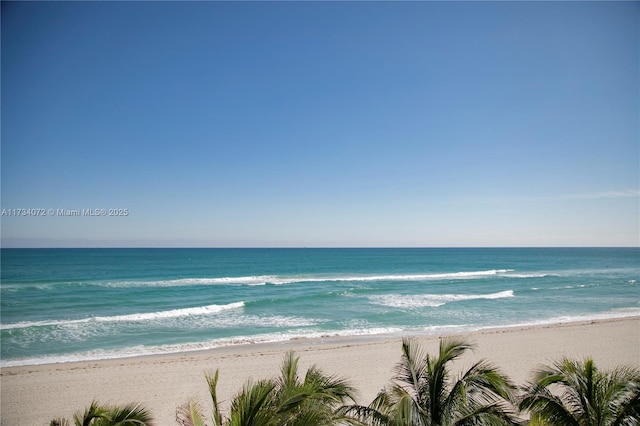 water view with a view of the beach