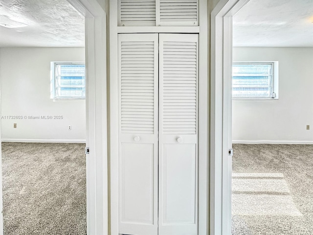 interior details featuring carpet and a textured ceiling