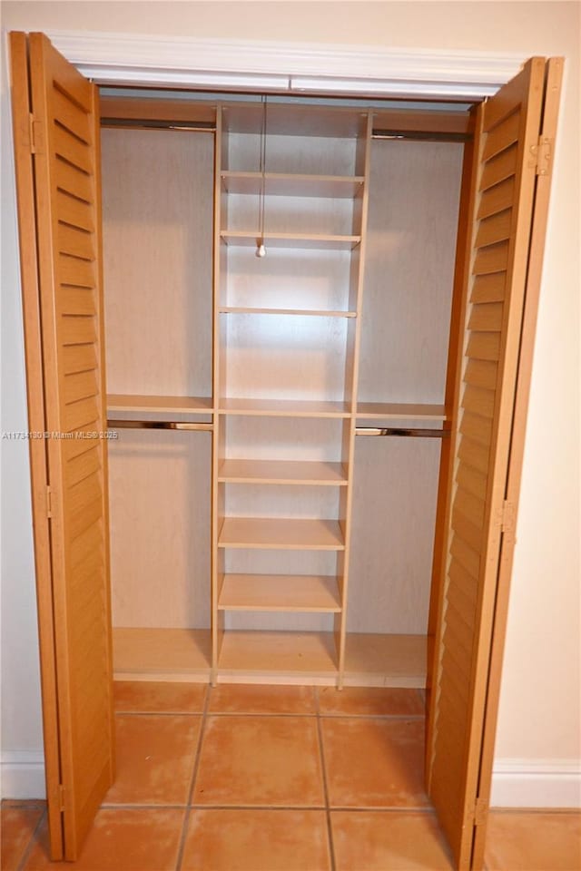 view of closet