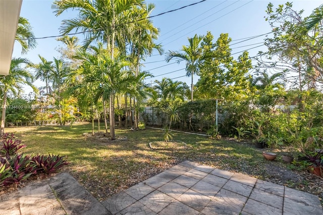 view of yard featuring a patio area