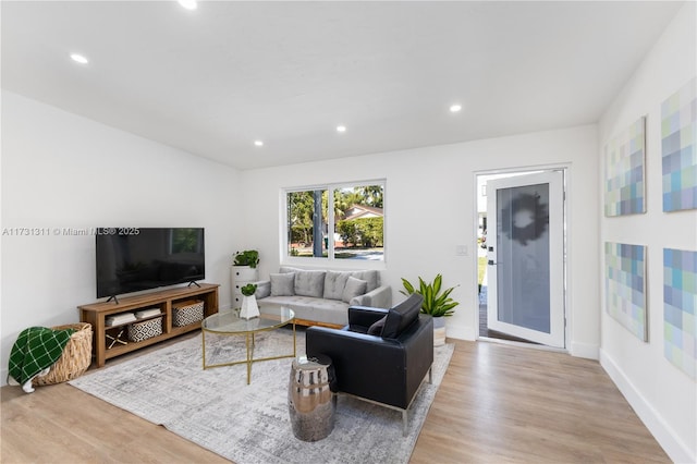 living room featuring hardwood / wood-style floors