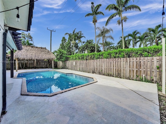 view of pool with a patio area