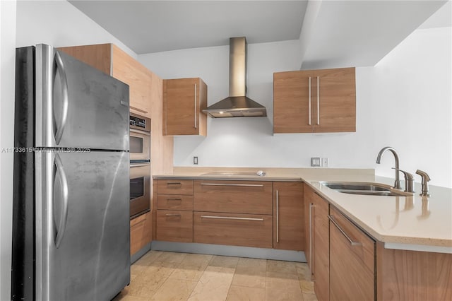 kitchen featuring wall chimney range hood, stainless steel appliances, and sink