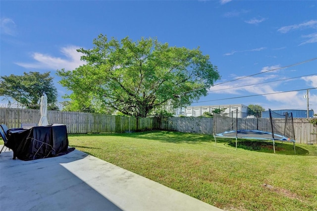 view of yard with a patio and a trampoline