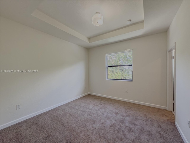 carpeted spare room featuring a tray ceiling