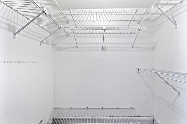 2851 Somerset Dr Unit 415, Lauderdale Lakes, FL 33311 - view of walk in closet