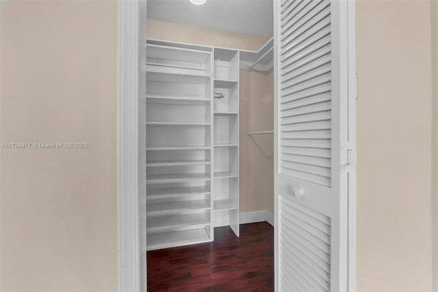 walk in closet with dark hardwood / wood-style floors