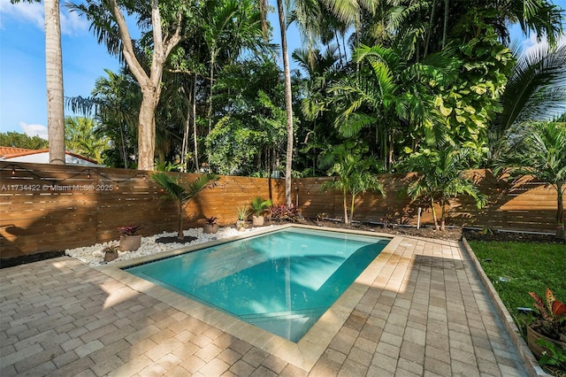 view of swimming pool with a patio