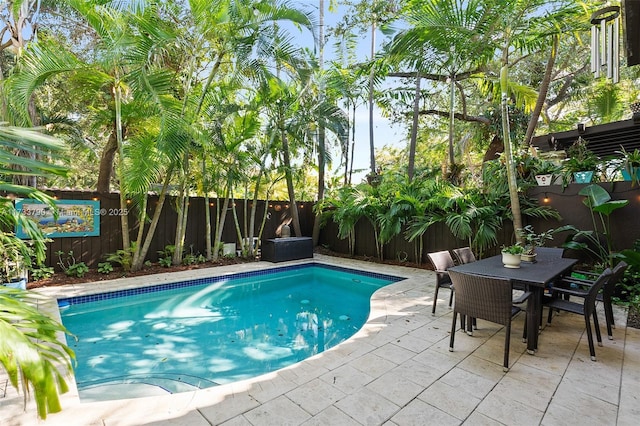 view of pool featuring a patio