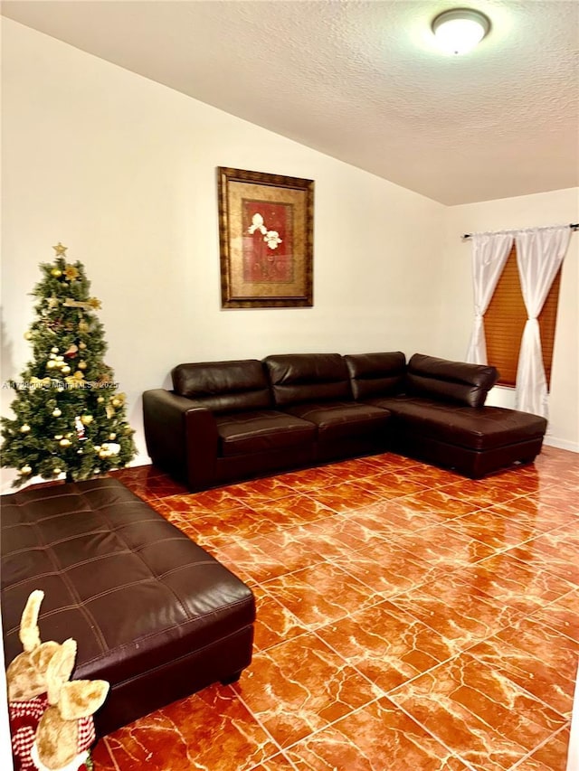 living room featuring a textured ceiling