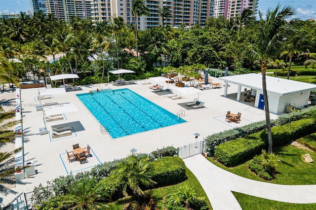 view of swimming pool with a patio