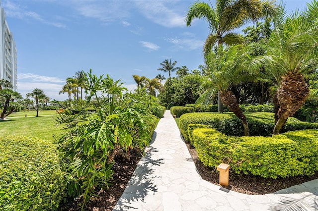 view of property's community with a lawn