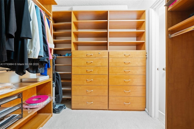 spacious closet with light carpet