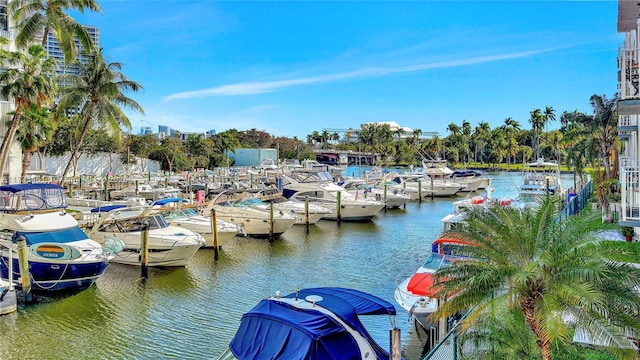 dock area with a water view