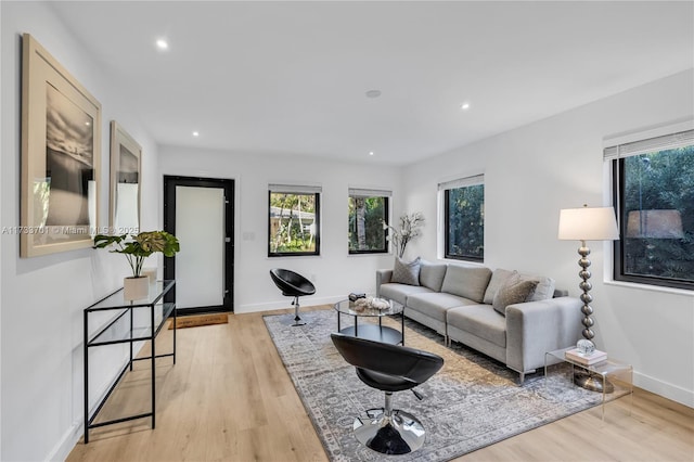 living room featuring light hardwood / wood-style floors