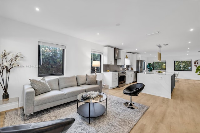 living room featuring light hardwood / wood-style flooring