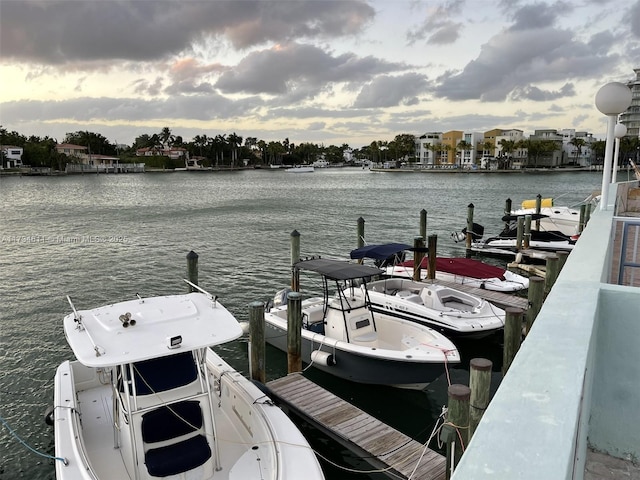 dock area with a water view