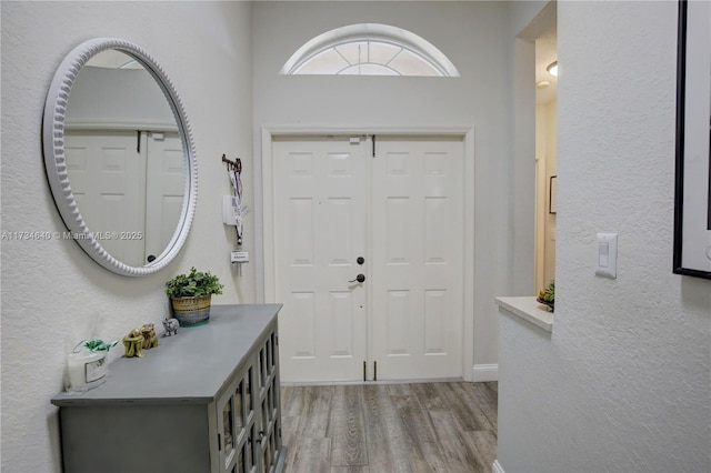 entrance foyer featuring hardwood / wood-style flooring