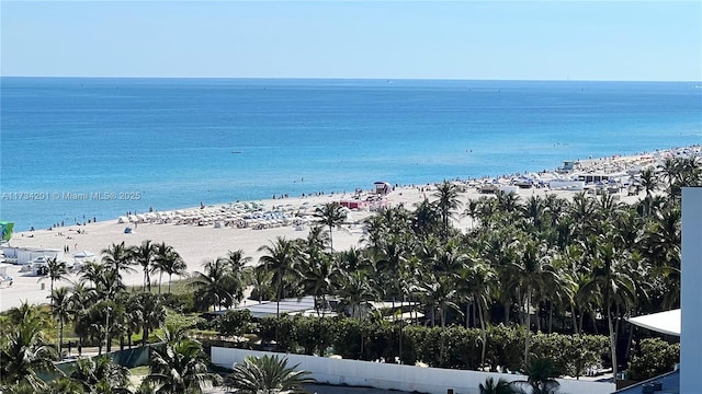 water view featuring a view of the beach