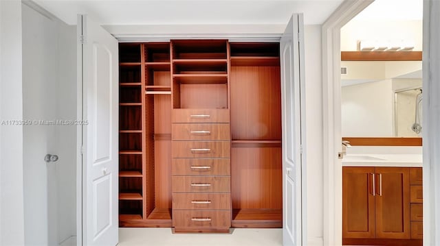 closet with sink