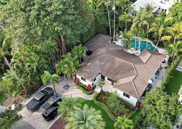 drone / aerial view