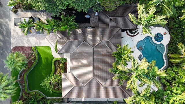 bird's eye view