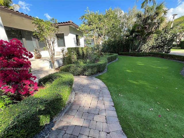 view of yard featuring a patio area