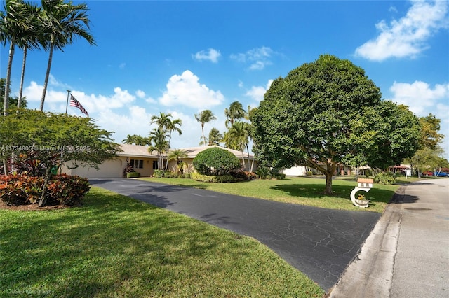 single story home with a front lawn