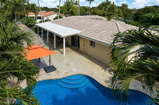 view of pool with a patio