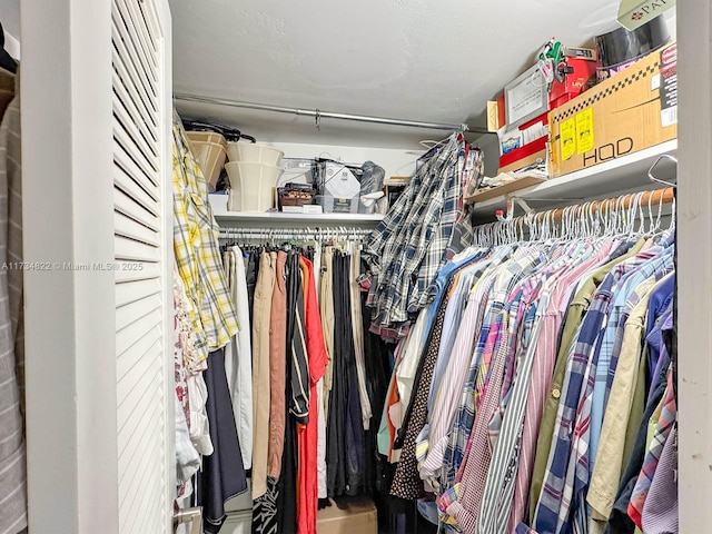 view of walk in closet