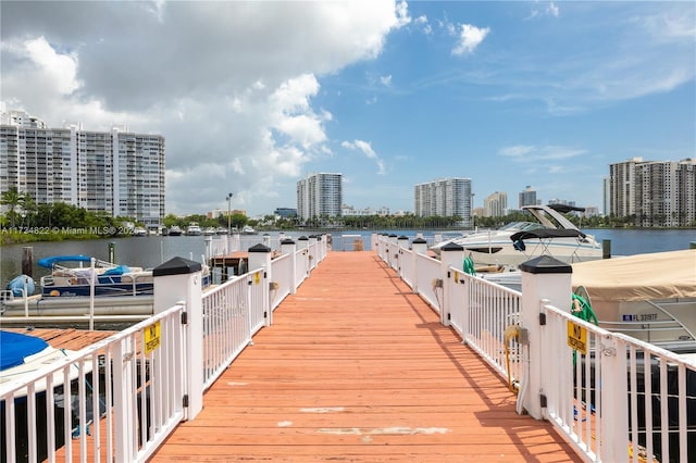 dock area with a water view