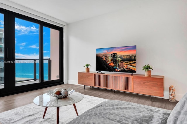 living room featuring hardwood / wood-style flooring and floor to ceiling windows